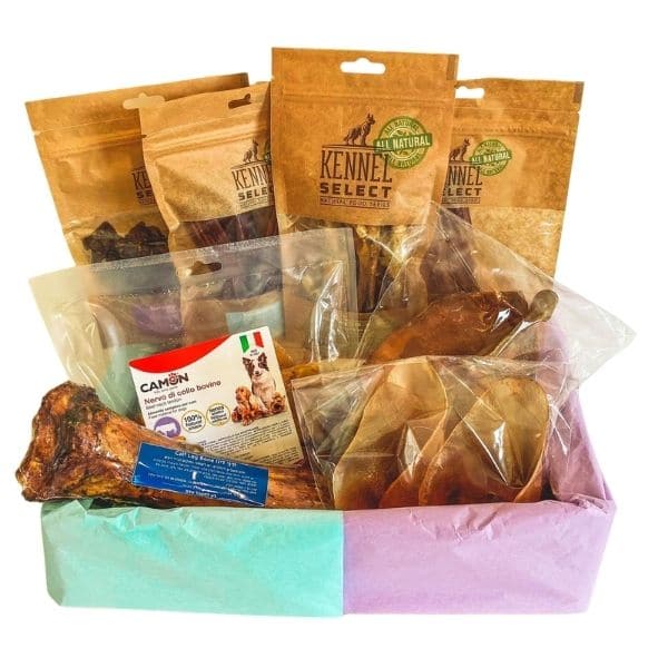 Carnivore Box - מארז קרניבורים לכלבים 100% טבעי