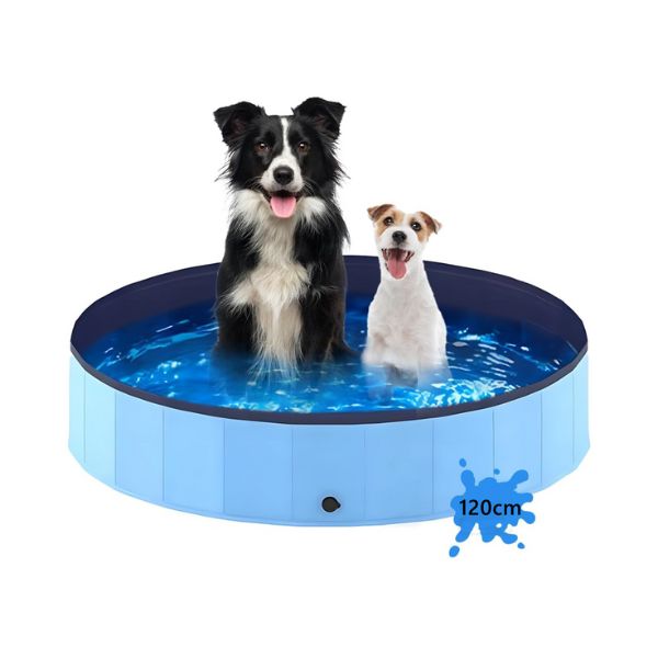 Pawise בריכה קשיחה לכלבים בינונית - 120 ס"מ