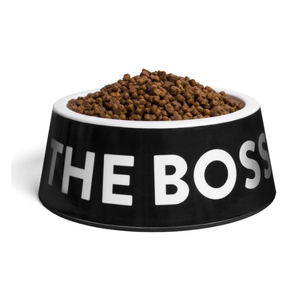 קערת אוכל ומים לכלב L - Zee Dog