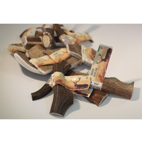 קרן אייל אדום שלמה 100% טבעי - L