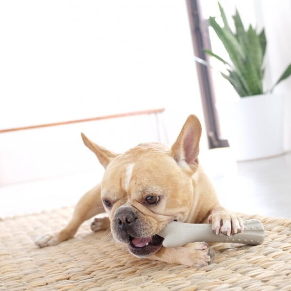 Deerhorn Dog Chew By Petstages.jpg
