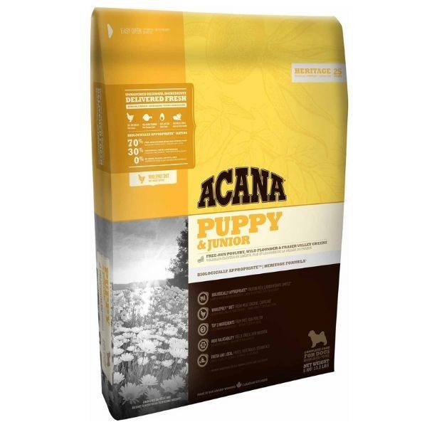 אקאנה גורים וגוניור.jpg