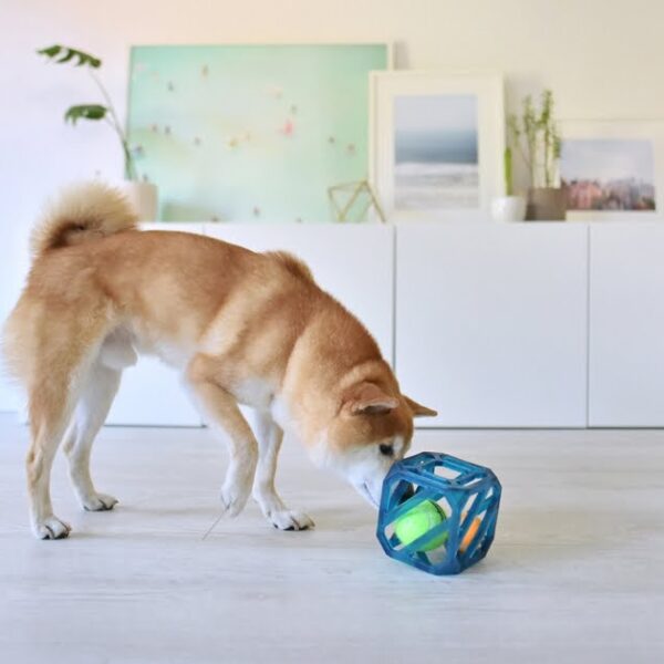 Outward Hound Dog Puzzle Toy Puzzle Cube