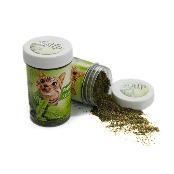 1756747350 צנצנת20קטניפ201.jpg