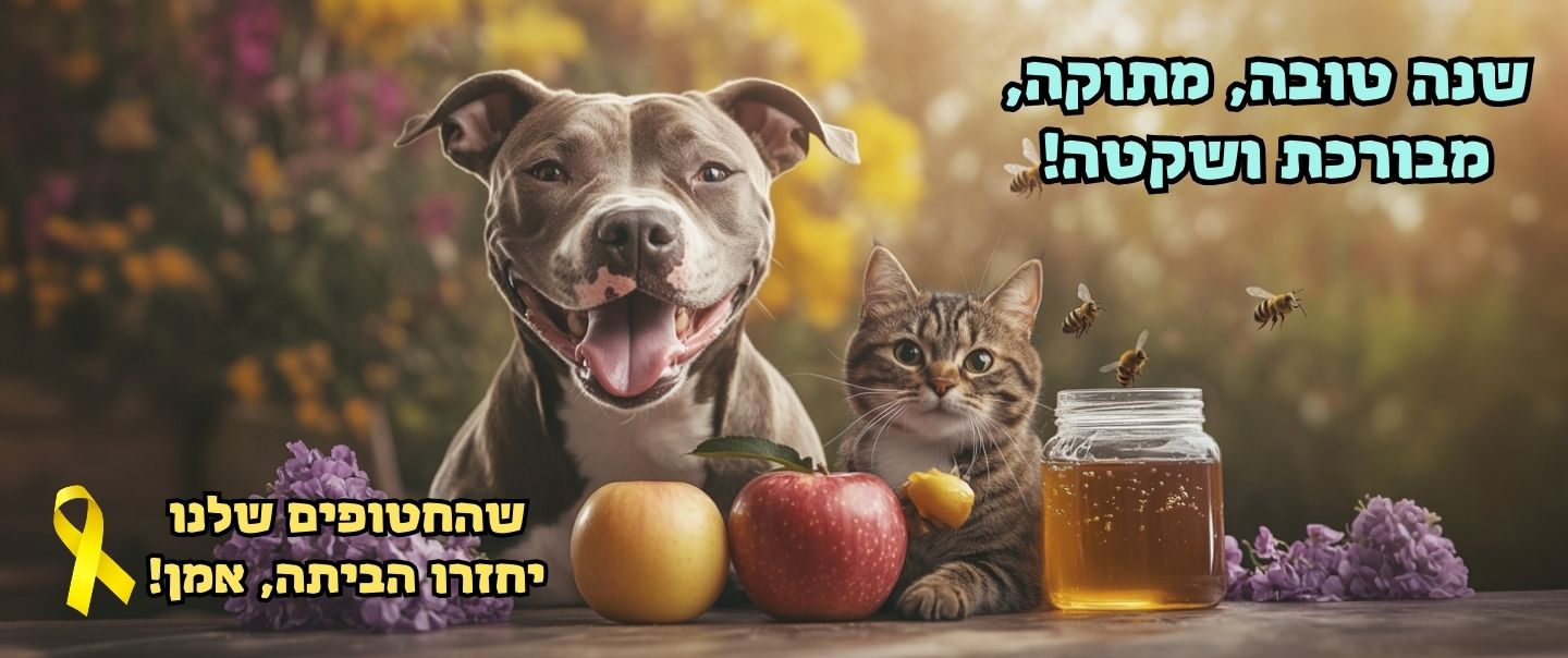 באנר לאתר (דסק) ראש השנה 2025