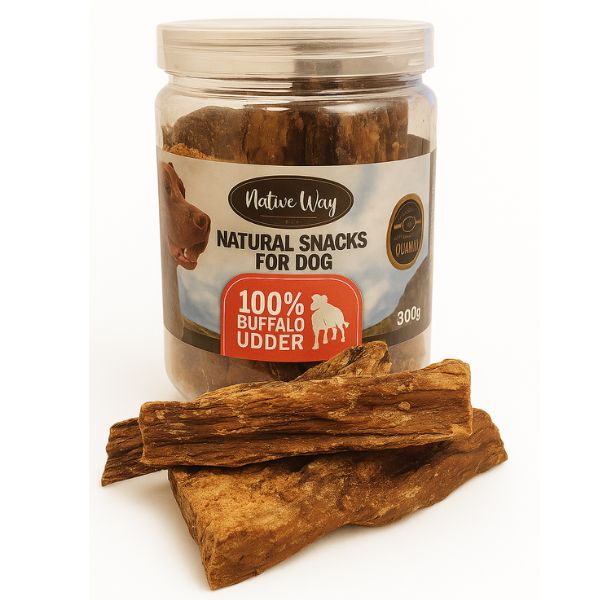 1762079652 עטינים.jpg