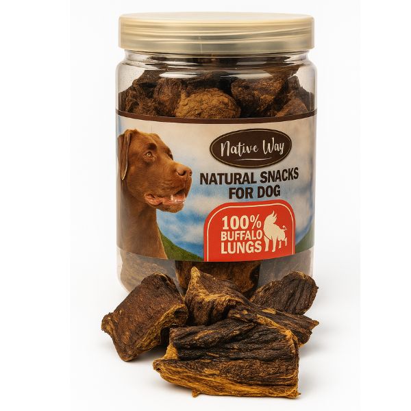 1762080397 ריאות20בקר.jpg