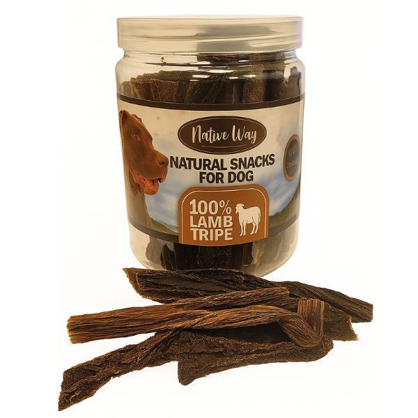 1762080906 קירשה20טלה203.jpg