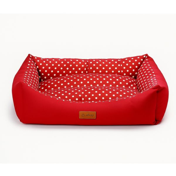 1762157356 גדולה.jpg