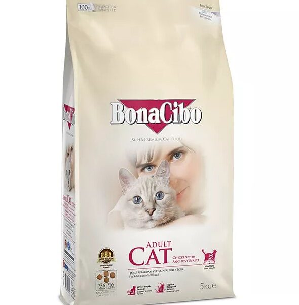 1762675767 צילום20מסך202025 11 0920100846.jpg