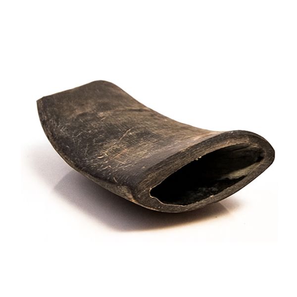 1763409298 קרן20באפלו.jpg