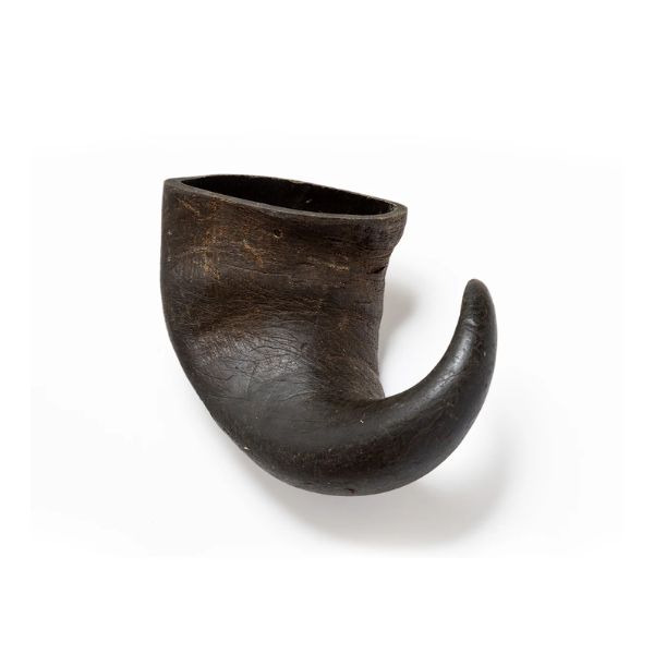 1763409675 קרן20באפלו201.jpg