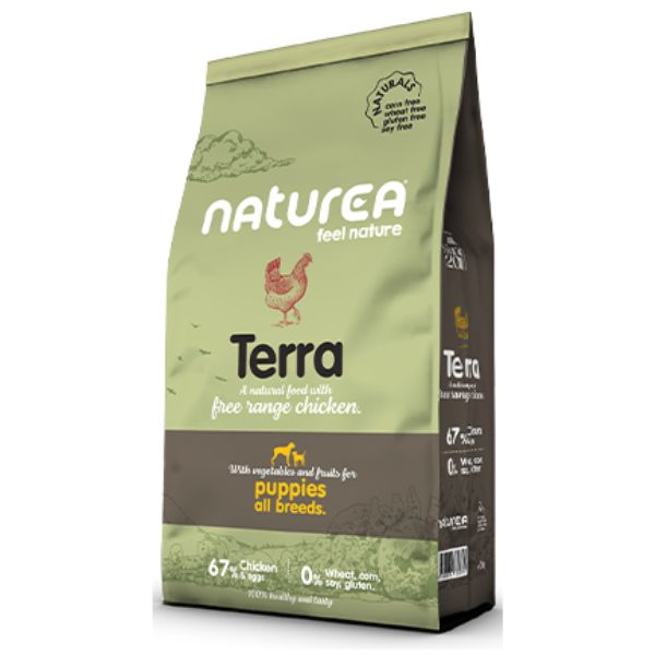 1764179744 נטוראה20גורים.jpg